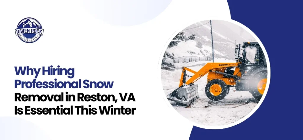 Professional Snow Removal